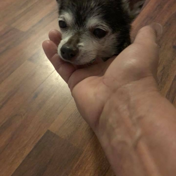 littlem0000